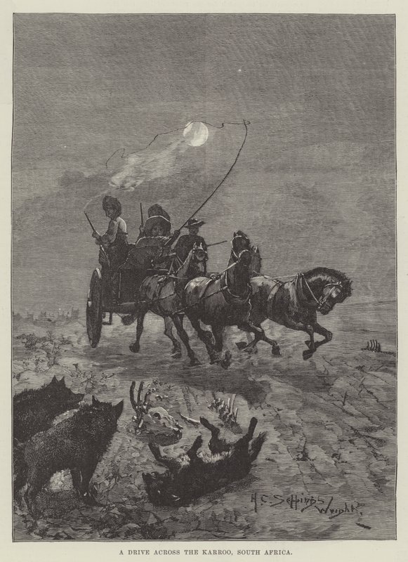 Przejażdżka przez Karoo, Republika Południowej Afryki autorstwa Henry Charles Seppings Wright