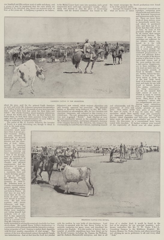 Bydło w Argentynie autorstwa Henry Charles Seppings Wright