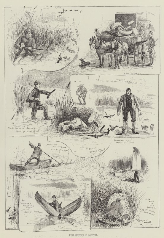 Strzelanie do kaczek w Manitobie autorstwa Henry Charles Seppings Wright