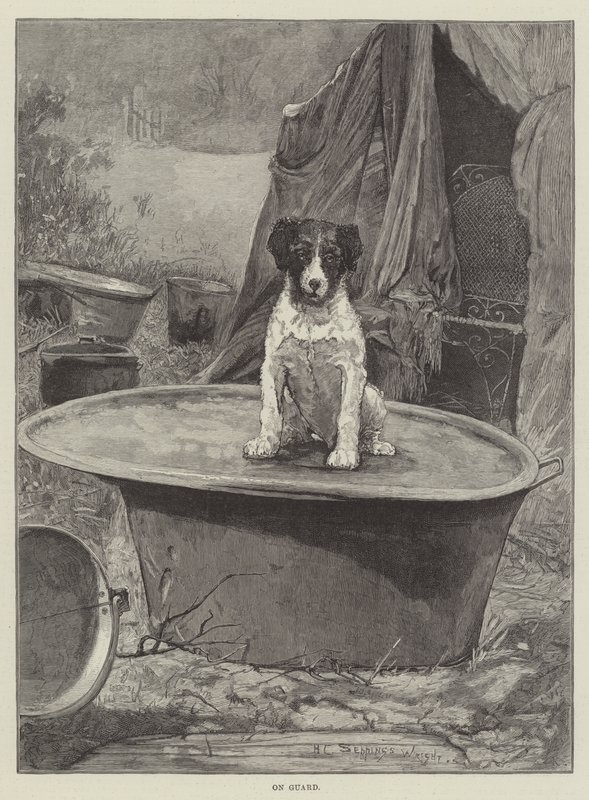 Na straży autorstwa Henry Charles Seppings Wright