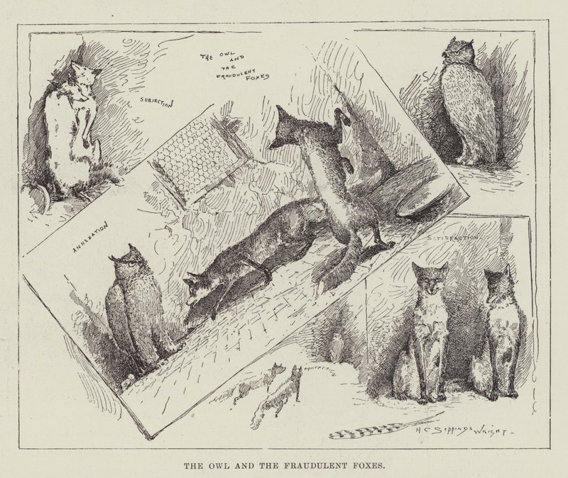 Sowa i oszukańcze lisy autorstwa Henry Charles Seppings Wright