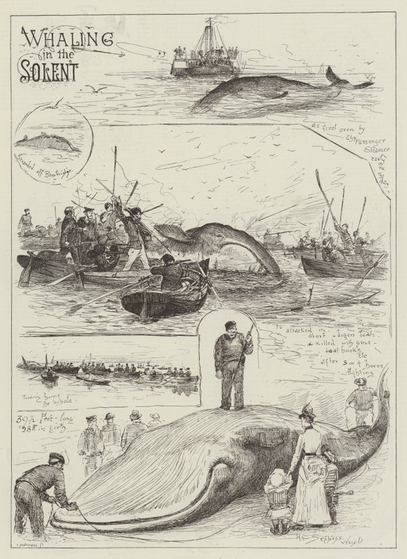 Wielorybnictwo w Solent autorstwa Henry Charles Seppings Wright