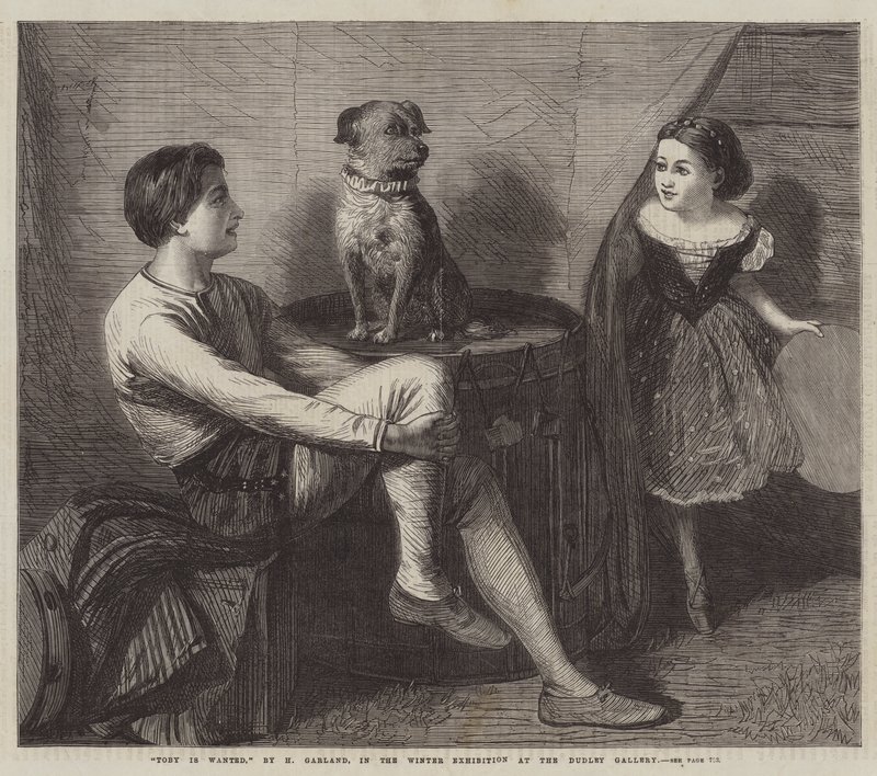 Toby jest poszukiwany autorstwa Henry Garland