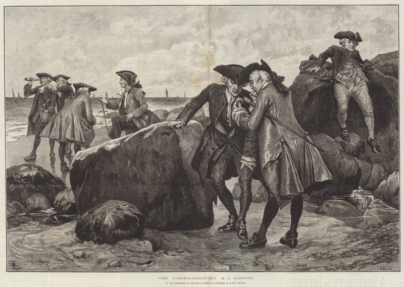 Koncholodzy autorstwa Henry Gillard Glindoni