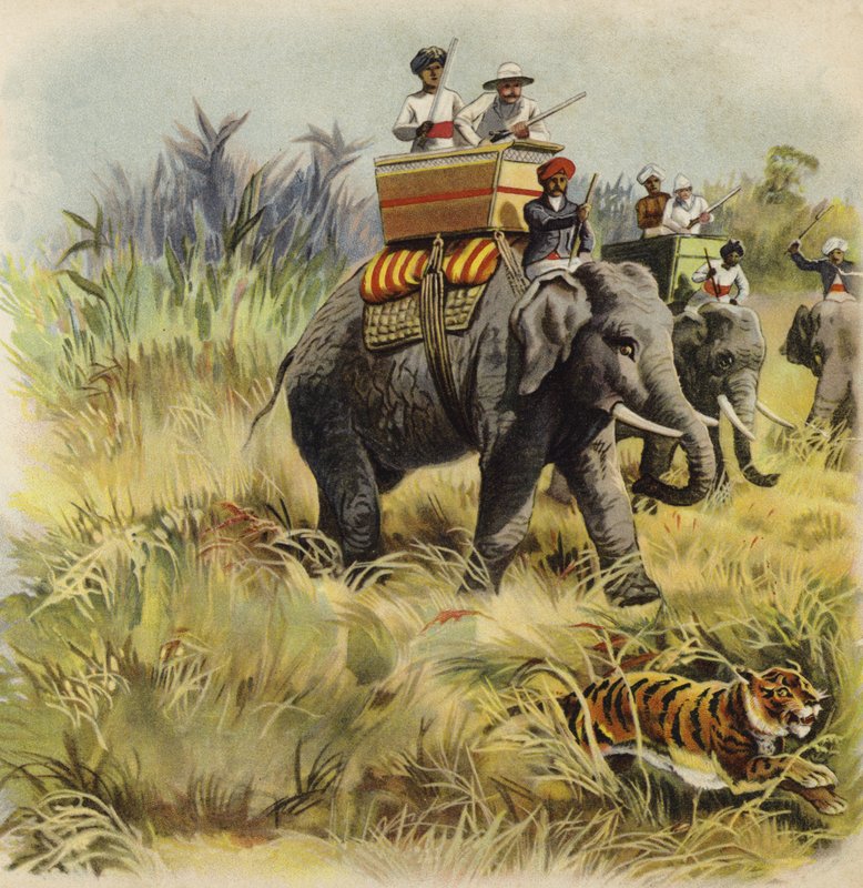 Książę Walii poluje na tygrysy w Indiach (chromolit) autorstwa Henry Payne