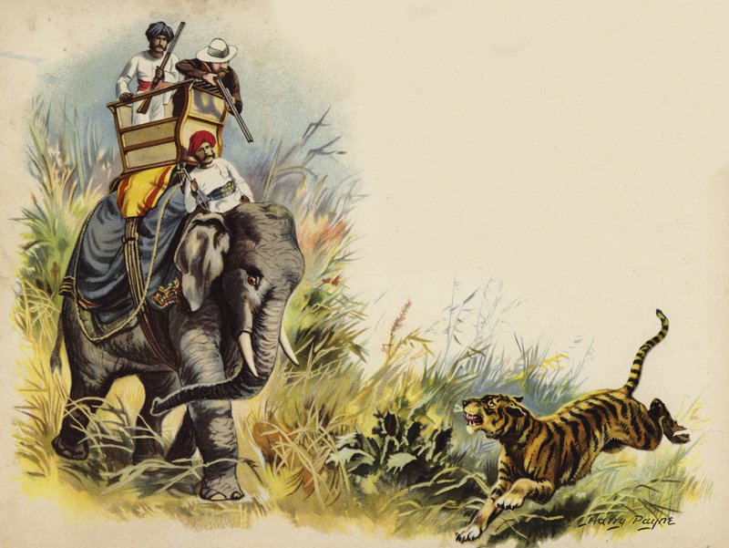 Książę Walii strzela do tygrysa podczas królewskiego objazdu w Indiach, 1905 (chromolitho) autorstwa Henry Payne