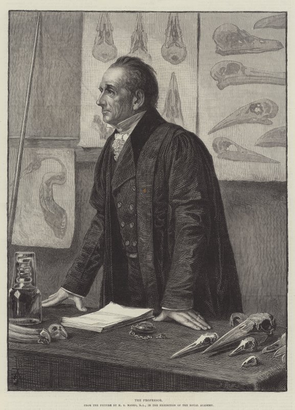 Profesor autorstwa Henry Stacey Marks