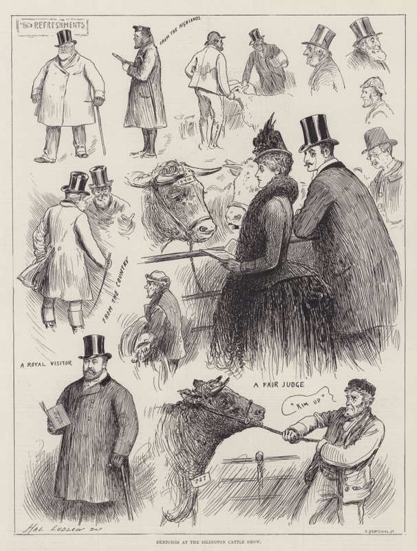Szkice na Islington Cattle Show autorstwa Henry Stephen Ludlow