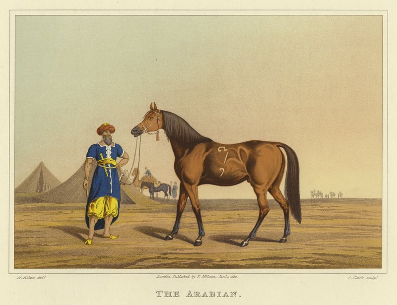 arabski (chromolitho) autorstwa Henry Thomas Alken