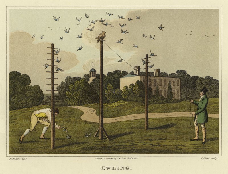 Sowa (chromolitho) autorstwa Henry Thomas Alken