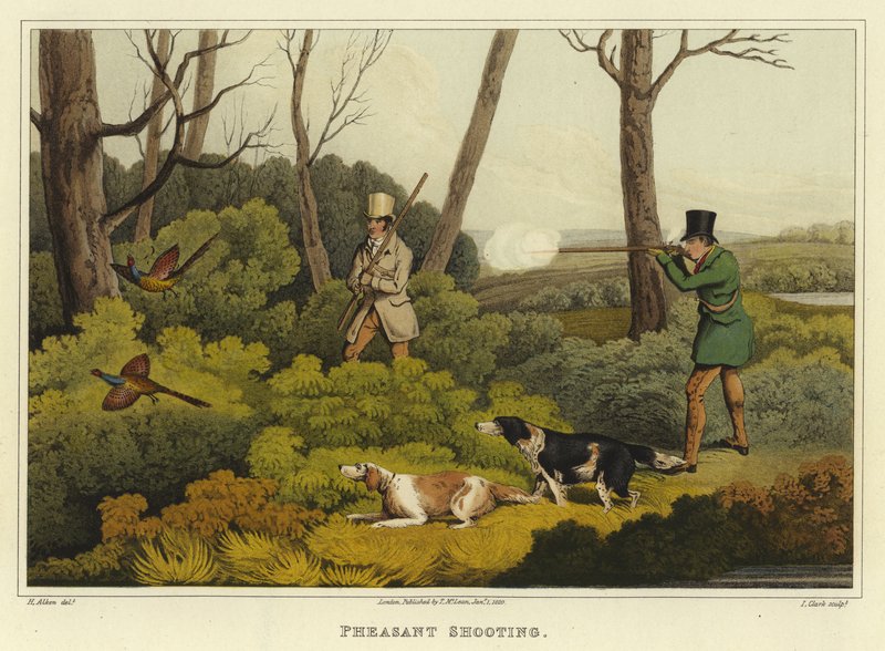 Strzelanie do bażanta (chromolitho) autorstwa Henry Thomas Alken