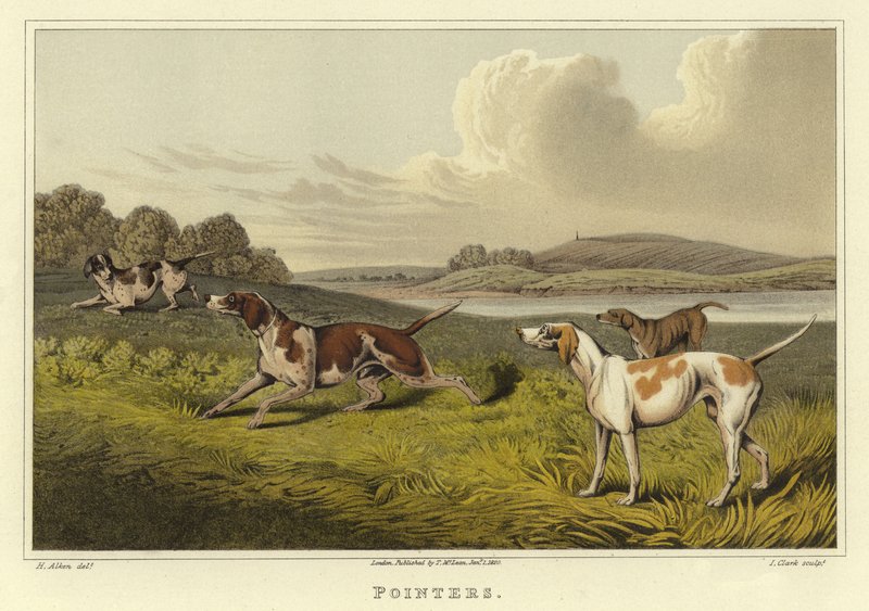 Wskaźniki (chromolitho) autorstwa Henry Thomas Alken