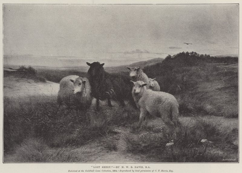 Zagubiona owca autorstwa Henry William Banks Davis