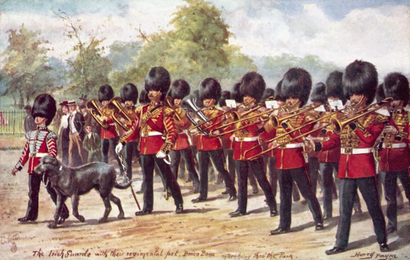 Gwardia irlandzka z pułkowym pupilem maszerującym w parku autorstwa Henry A. Payne