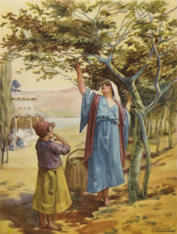 Zbieranie fig (kolor lito) autorstwa Henry Andrew Harper