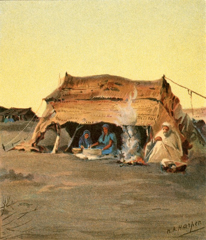 Życie w namiocie autorstwa Henry Andrew Harper