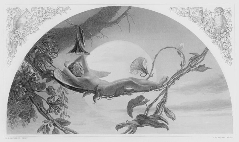 Ariel, ze zdjęcia w Królewskiej Kolekcji (rycina) autorstwa Henry James Townsend