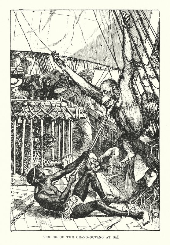 Terror orang-outang w Sai (rycina) autorstwa Henry Justice Ford