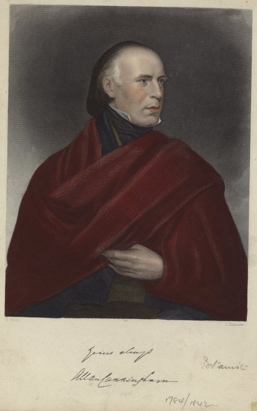 Allan Cunningham autorstwa Henry Room