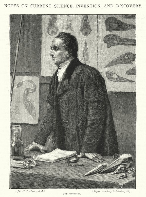 Profesor (grafika) autorstwa Henry Stacey (after) Marks
