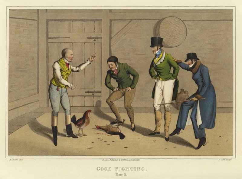 Walka kogutów (chromolitho) autorstwa Henry Thomas Alken