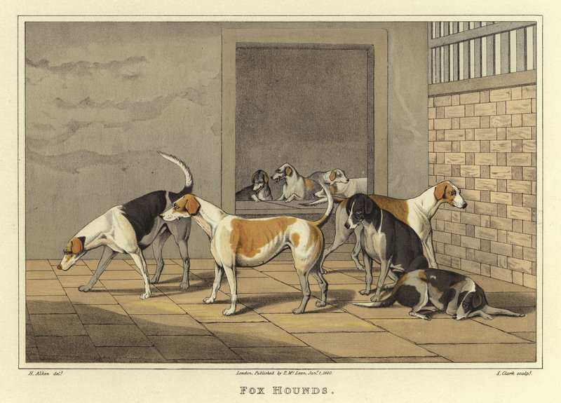 Fox Hounds (chromolitho) autorstwa Henry Thomas Alken