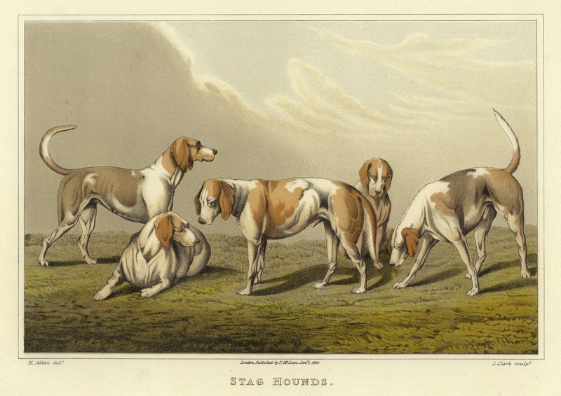 Gończe jelenie (chromolitho) autorstwa Henry Thomas Alken