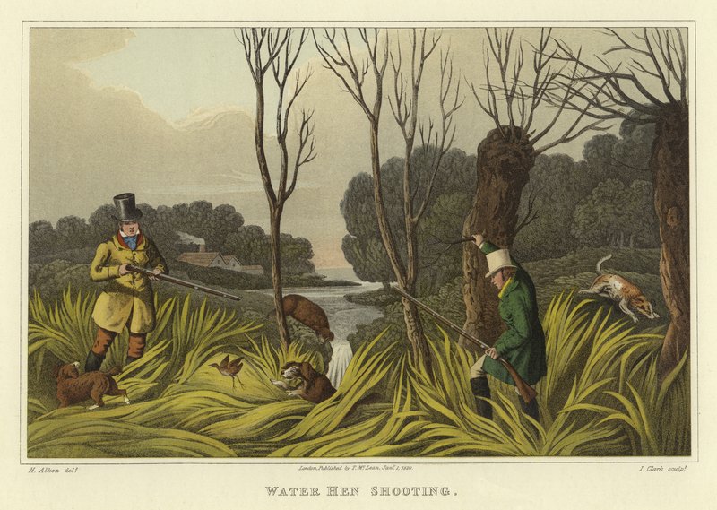 Strzelanie do kur wodnych (chromolitho) autorstwa Henry Thomas Alken