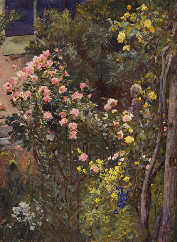 W ogrodzie różanym, Catherine Mermet i Marechal Niel w domu (kolorowa litografia) autorstwa Herbert Arnould Olivier