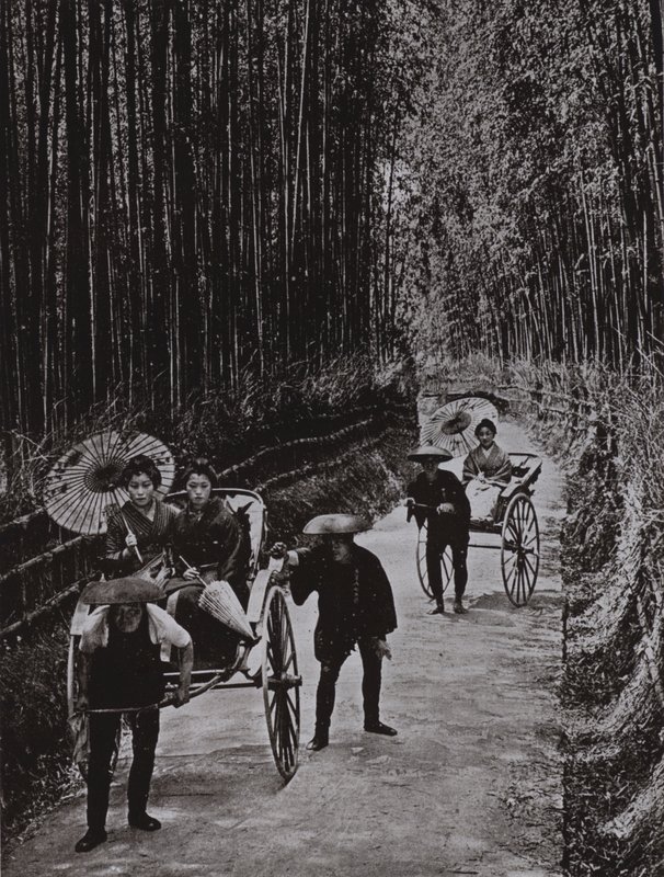 Bambusowa Aleja w Kioto (zdjęcie czarno-białe) autorstwa Herbert Ponting