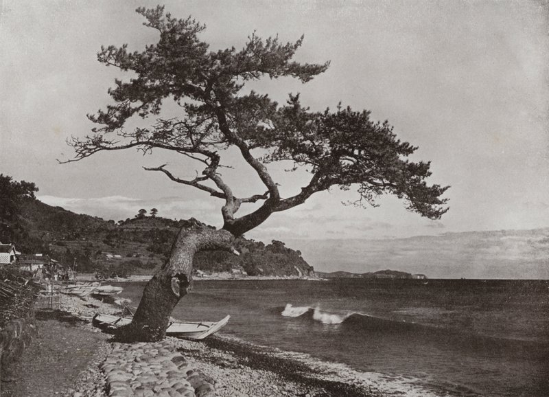 Atami (zdjęcie czarno-białe) autorstwa Herbert Ponting