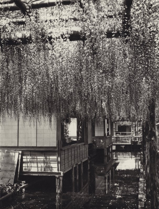 Japonia w latach 20.: Tokio, Kameido (zdjęcie czarno-białe) autorstwa Herbert Ponting