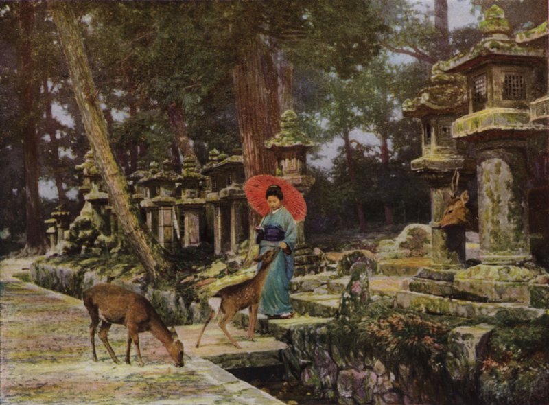 Nara, Serce Starej Japonii (zdjęcie) autorstwa Herbert Ponting
