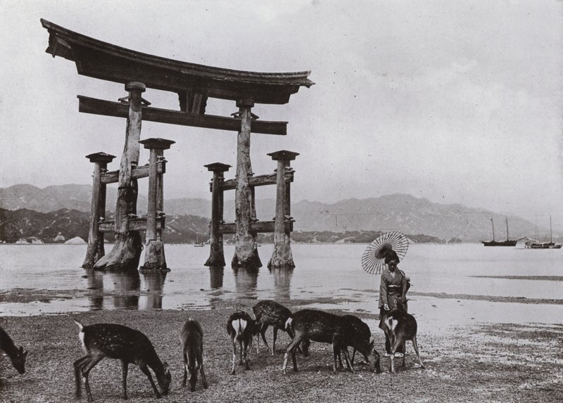 Stare Torii w Miyajima (zdjęcie czarno-białe) autorstwa Herbert Ponting