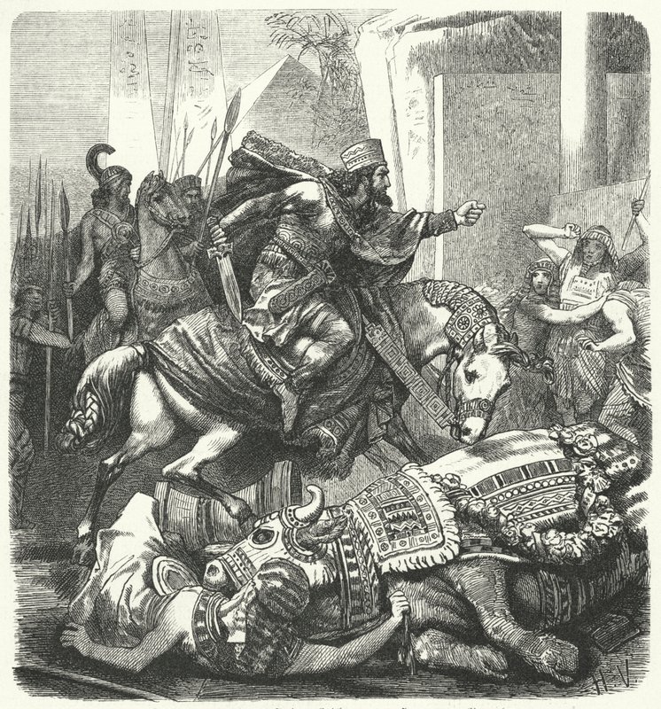 Cesarz perski Artakserkses III Ochus zabija świętego byka Apis Egipcjan autorstwa Hermann Vogel
