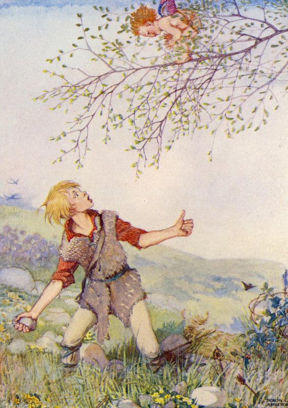 Kalendarz pasterza (kolorowa litografia) autorstwa Honor Charlotte Appleton