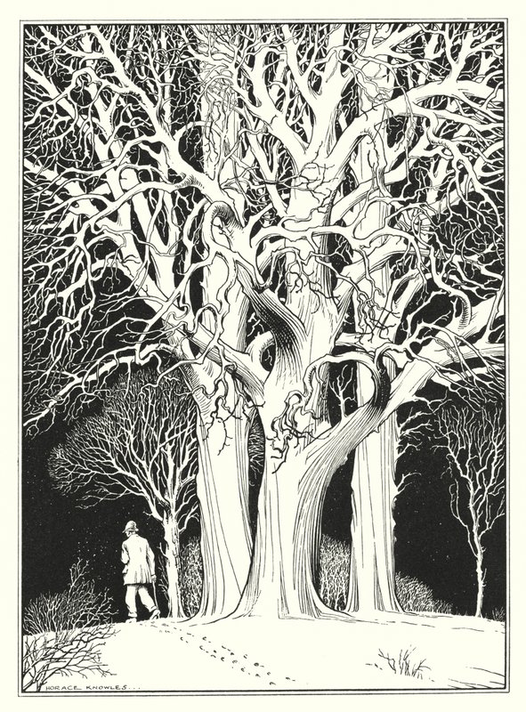 Grudzień (litografia) autorstwa Horace J. Knowles