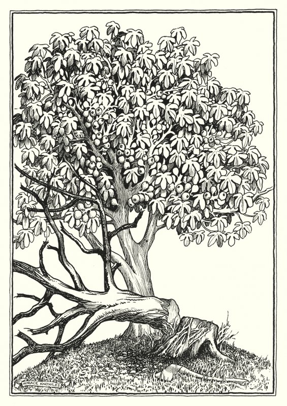 Ilustracja do Kazania na górze (grawerunek) autorstwa Horace J. Knowles