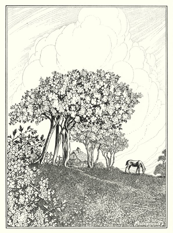 Maj (litografia) autorstwa Horace J. Knowles