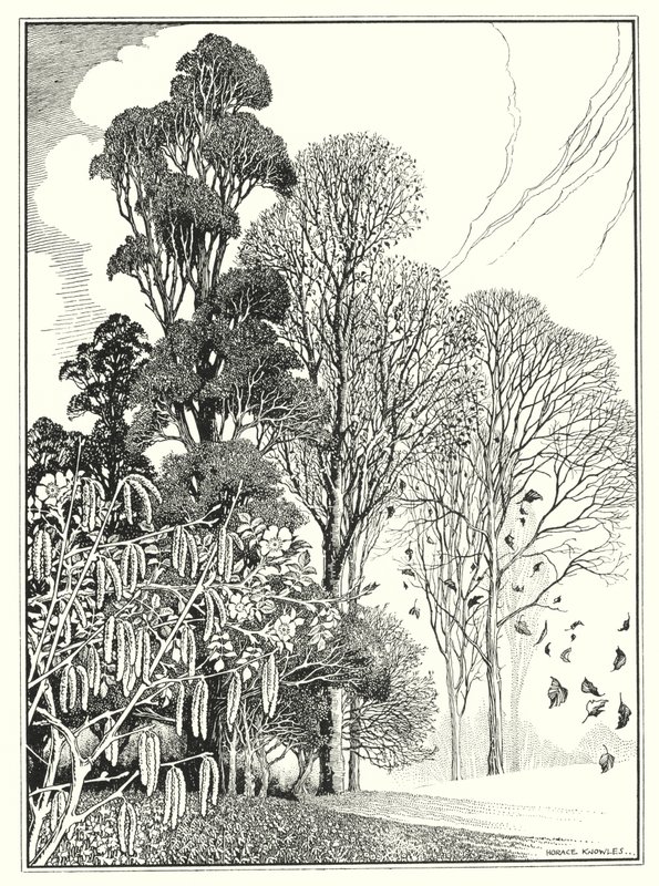 Miesiące (litografia) autorstwa Horace J. Knowles