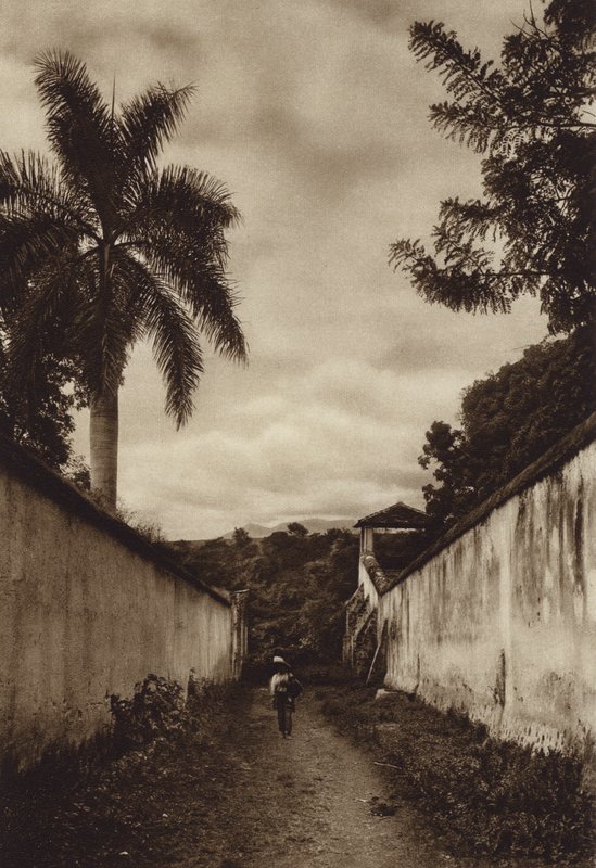 Meksyk: Cuernavaca, ulica prowadząca do wioski San Antonio (zdjęcie czarno-białe) autorstwa Hugo Brehme