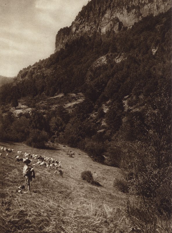 Meksyk: La Canada, Contreras, DF (zdjęcie czarno-białe) autorstwa Hugo Brehme