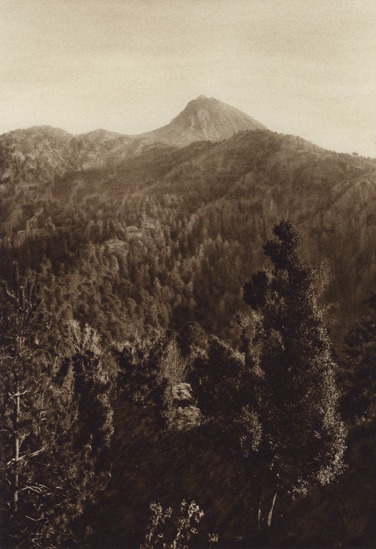 Meksyk: Nevado de Colima, widok częściowy (zdjęcie czarno-białe) autorstwa Hugo Brehme