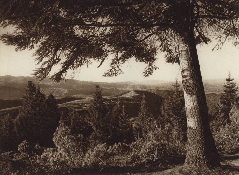 Meksyk: Park Narodowy, Desierto de los Leones (zdjęcie czarno-białe) autorstwa Hugo Brehme