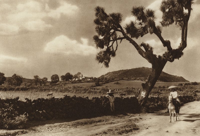 Meksyk: Patzcuaro, El Calvario, stan Michoacan (zdjęcie czarno-białe) autorstwa Hugo Brehme