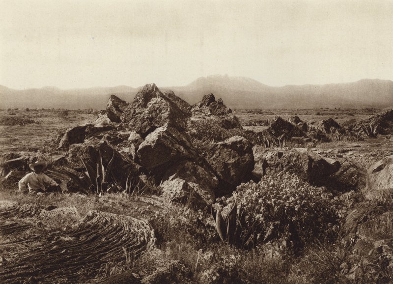 Meksyk: Pedregal, Corriente de basalto-lava w pobliżu San Angel (zdjęcie czarno-białe) autorstwa Hugo Brehme