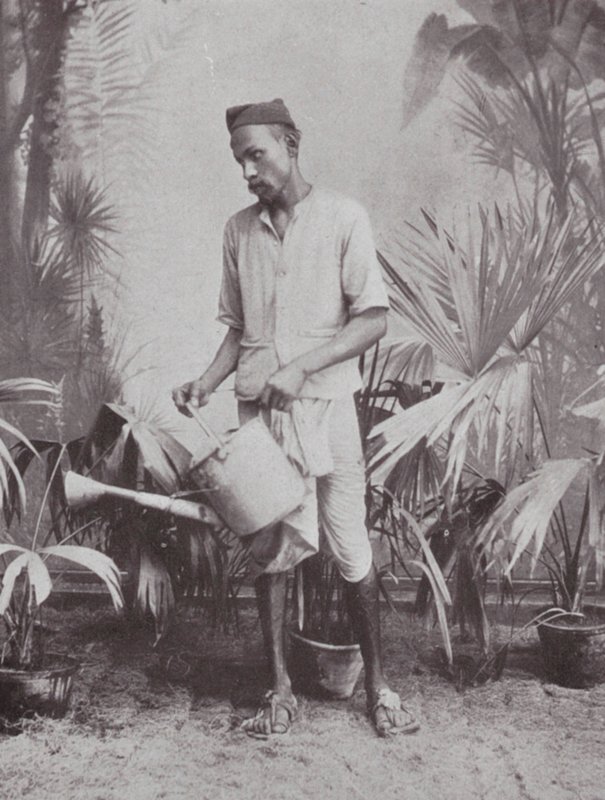 Bombaj: ogrodnik (zdjęcie czarno-białe) autorstwa Indian photographer