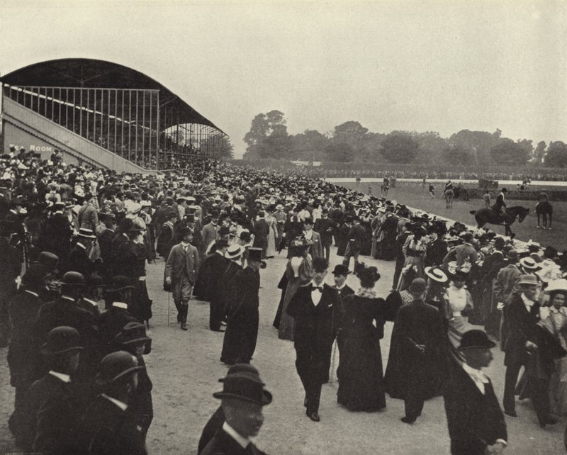 Horse Show, Ball