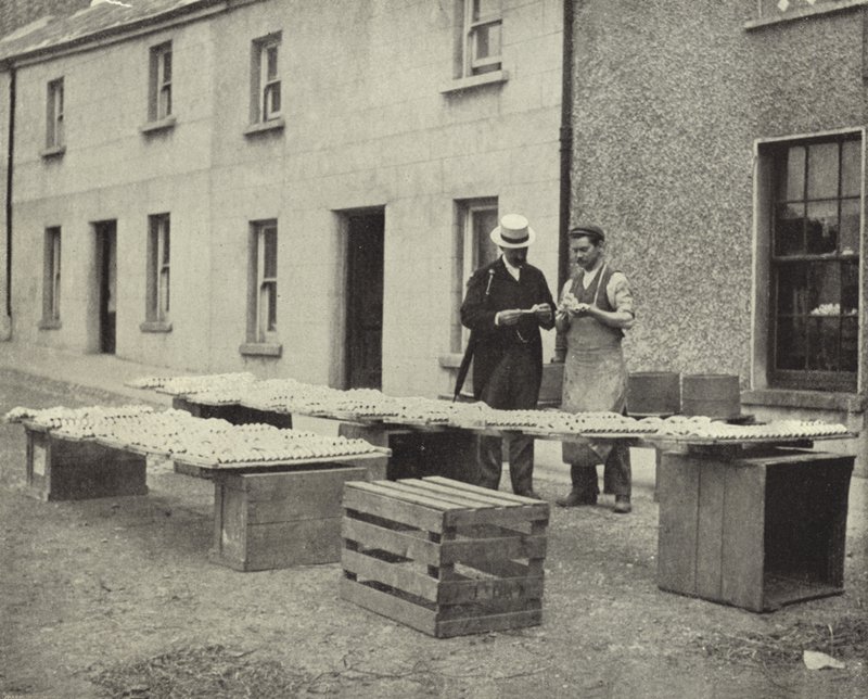 Wykonywanie fajek glinianych, Drogheda (zdjęcie czarno-białe) autorstwa Irish Photographer