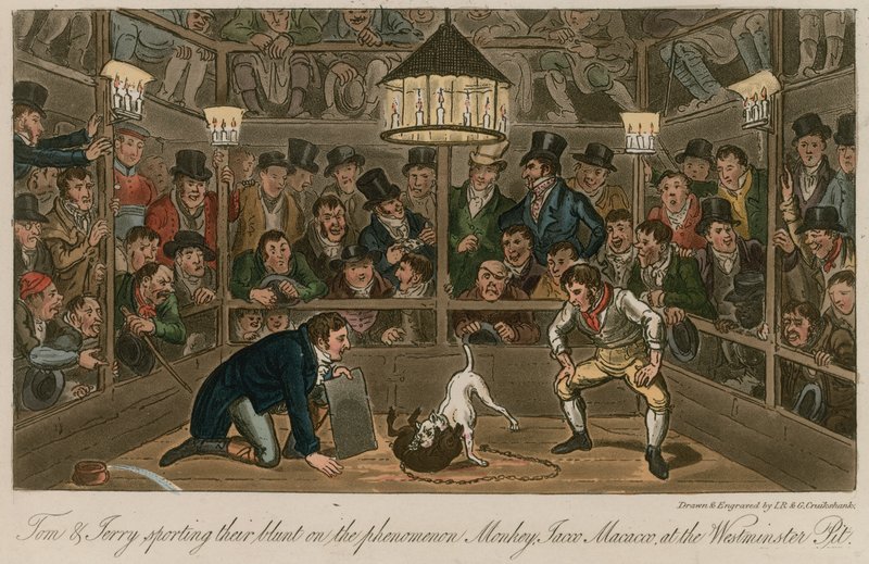 Tom i Jerry wypowiadają się dosadnie na zjawisku Małpa, Jacco Macacco, w Westminster Pit autorstwa Isaac, Robert and George Cruikshank